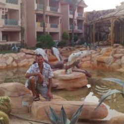 Парень ищет девушку для секса на одну ночь в Петрозаводске Парень ищет девушку для секса на одну ночь в Петрозаводске